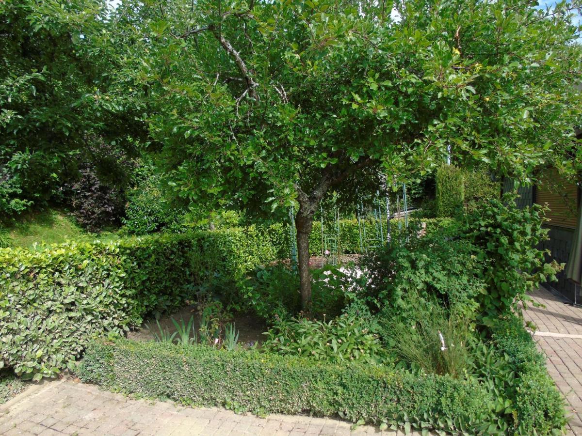 Maison L'Hirondelle Rustique A Tournavaux Dış mekan fotoğraf